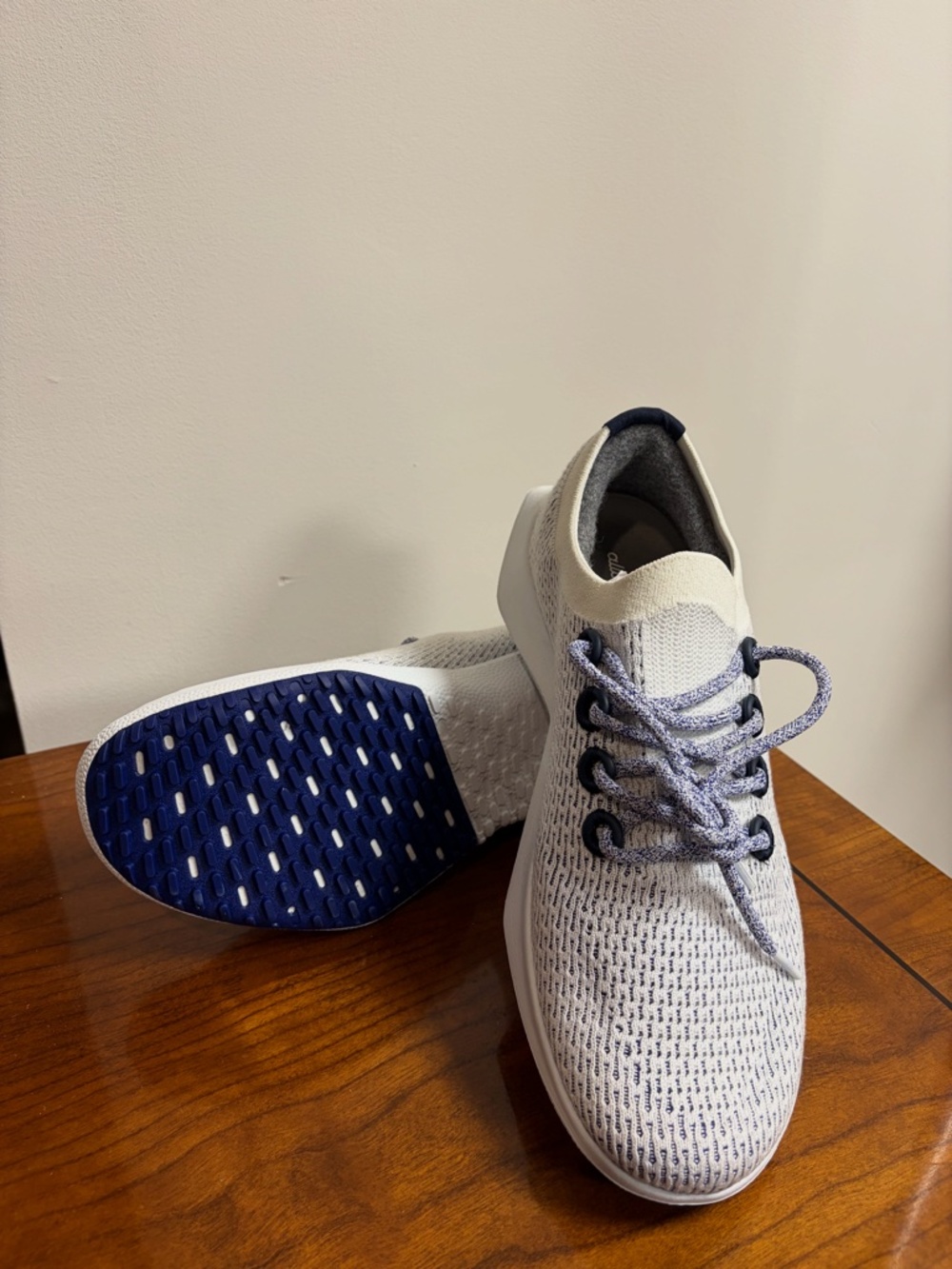 Allbirds White & Navy Tree Runner Sneakers